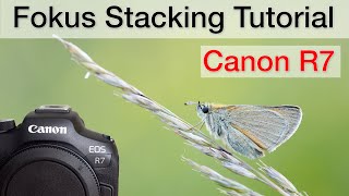 Fokus Stacking mit der Canon R7 - Anleitung (Schritt-für-Schritt Tutorial)