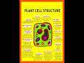 Structure and Functions of Plant cell organelles|plant cell structure| #plantcell #shorts Mp3 Song