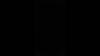 fyelli (b.)