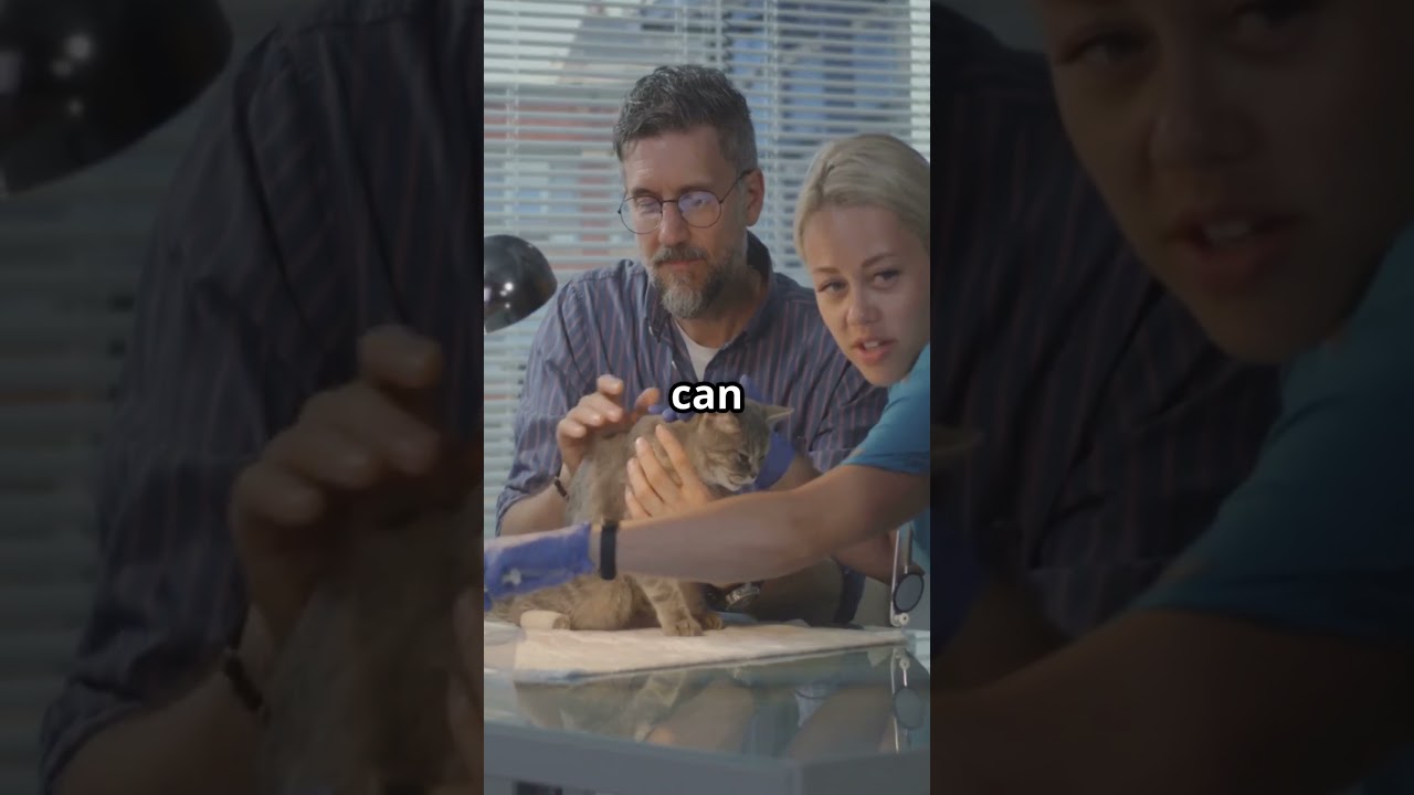 9 Common Garden Plants That Are Toxic to Cats!