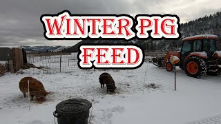 Winter Feeding of Idaho Pasture Pigs at Kettle Haven Ranch. by Kettle Haven Ranch LLC 116 views 3 months ago 9 minutes, 14 seconds