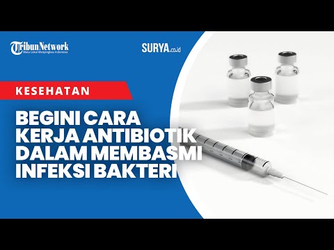 Begini Cara Kerja Antibiotik dalam Membasmi Infeksi Bakteri