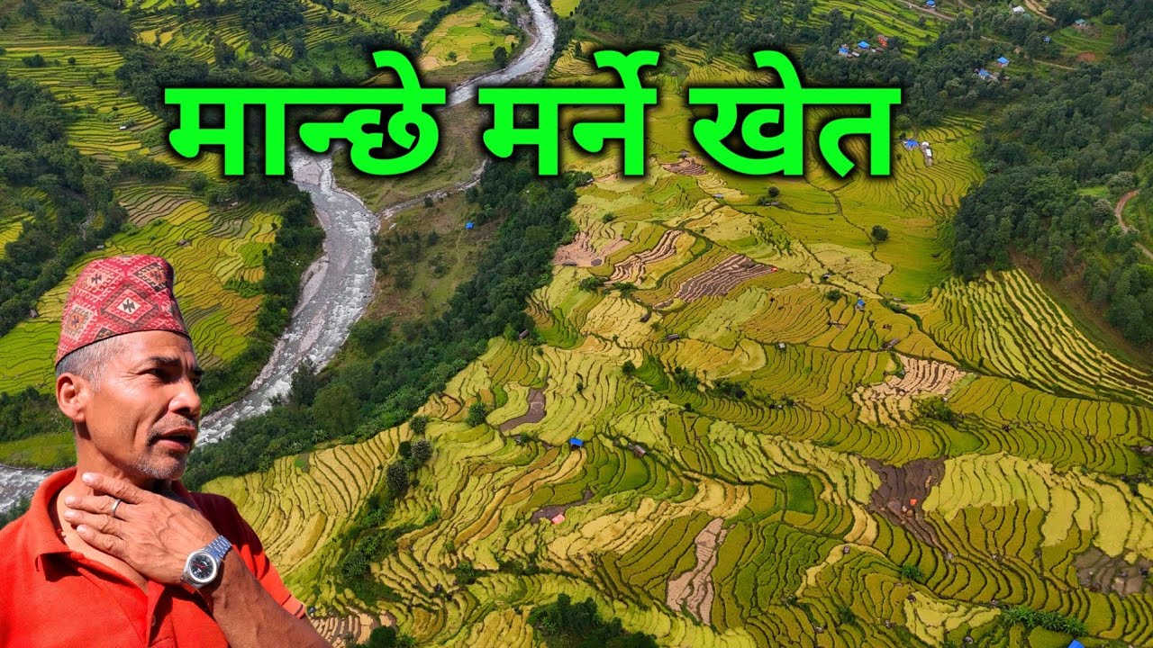 मान्छे मर्ने खेत | हजार मुरि धान फल्ने हाैचुर खेतमा लुकेको डरलाग्दो रहस्य | मैझारोमा भोग दिने चलन 