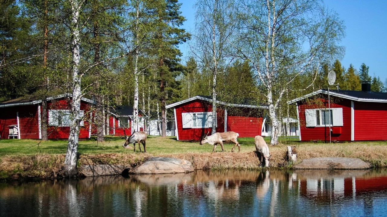 Motelli Rovaniemi, Finland | Travel With Rohini - YouTube