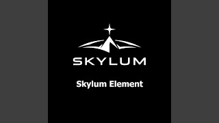 Skylum Element 5