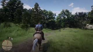 Red Dead Redemption 2 #4