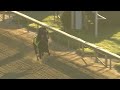 LONG RANGE TODDY 4.22.19 CD Breeze