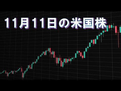 11月11日の米国株 　 S&P500高速再生(2025年)  #トランプ大統領