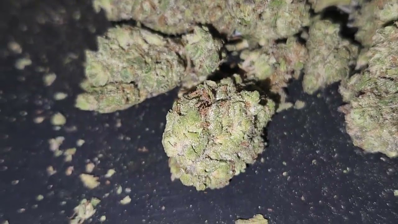 ten DC- governmint oasis