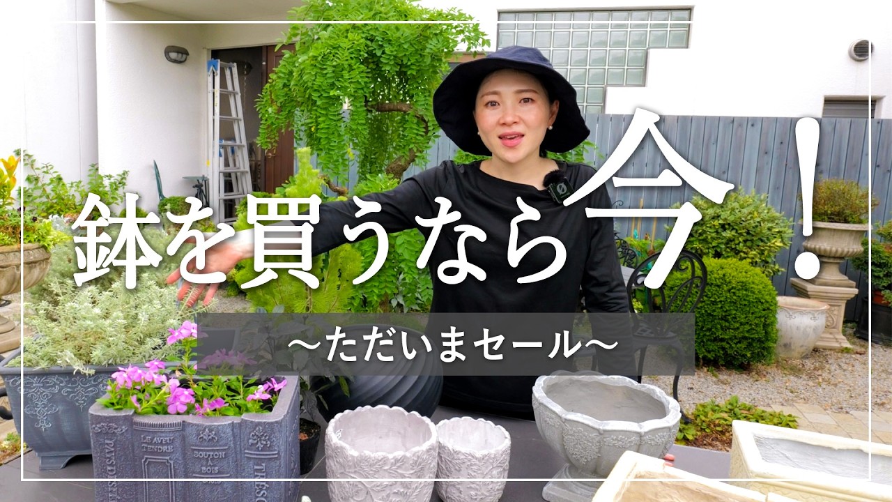 Long time no see! Introducing our summer sale items! - YouTube