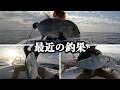 【スロージギング】釣り船で大物キャッチ | 海での興奮の瞬間【奄美大島】