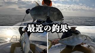 【スロージギング】釣り船で大物キャッチ | 海での興奮の瞬間【奄美大島】