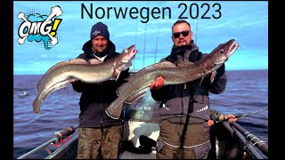 Angeln in Norwegen auf Hitra