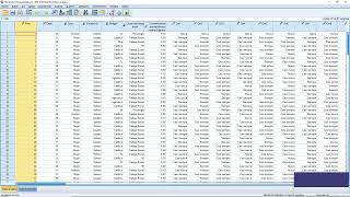 Importar Y Gestionar Base De Datos De Excel A Spss