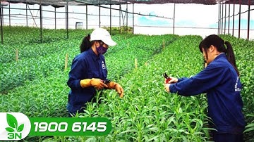 Đưa nông nghiệp 4.0 đến gần hơn với bà con nông dân | VTC16