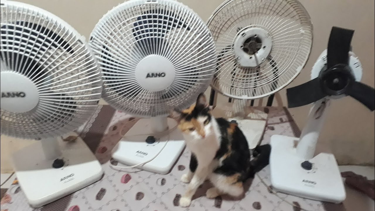 Ventilador Arno Alivio com fusível térmico queimado.