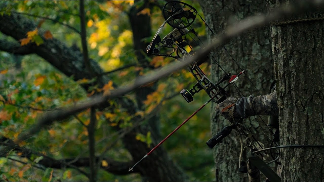 Treestand Rut Rotation Strategy - YouTube