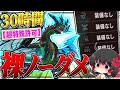 【神回】30時間かけて『超特殊許可 青電主ライゼクス』を『裸＆ノーダメ縛り』でソロ狩りした伝説の回【ゆっくり実況：モンハンダブルクロス】
