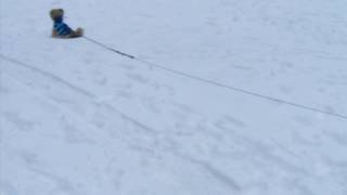 DSCF6196