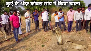 सबसे अलग और खतरनाक गुस्से वाला कोबरा सांप, कुएं के अंदर सांप ने किया हमला Rescue indian cobra snake