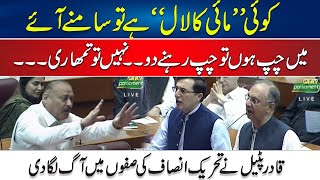 Qadir Patel Big Challenge To PTI Leaders In National Assembly - Fiery Speech By Patel - 24 News HD