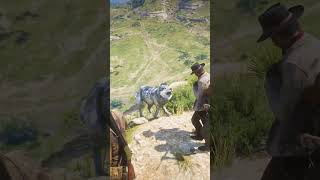 RDR 2 Wild West #469