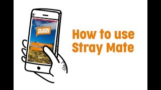 How to Use Stray Mate screenshot 2