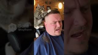 Sora 2 Cat Works as a Barber