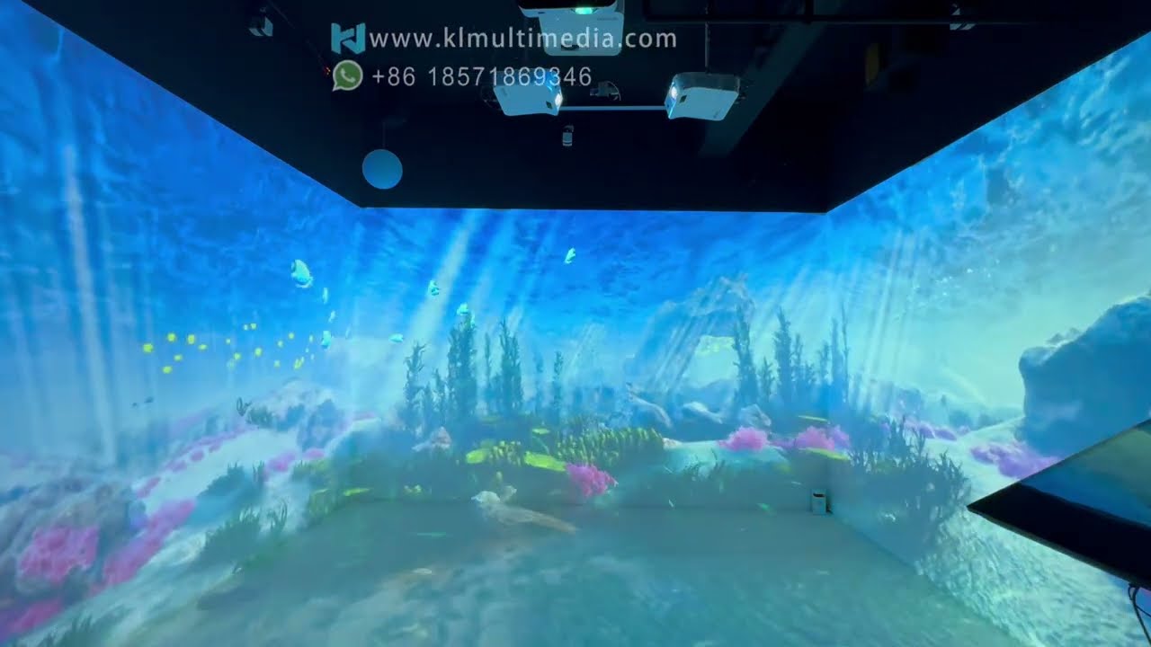 The Ultimate Immersive Experience Journey: For Aquariums and Art Museum Projection Rooms