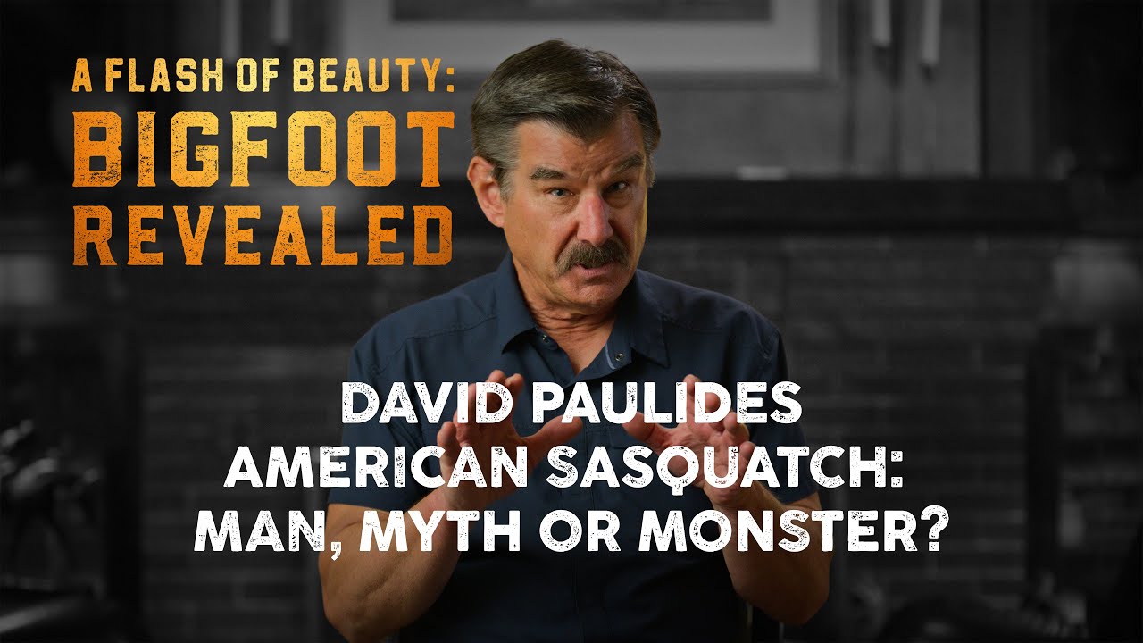 Вспышка красоты: Дэвид Паулидес