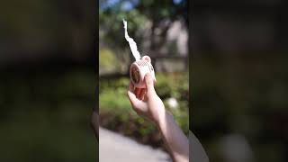 Best appliances and gadgets for every home, smart home appliances, smart home gadgets 2.0 #gadgets