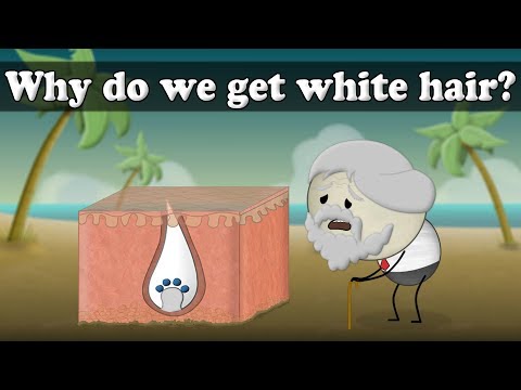 Why do we get white hair? | #aumsum #kids #science #education #children