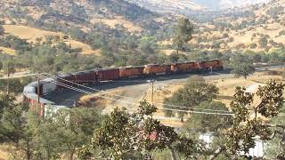 2024 10 29 Tehachapi Loop Train #2