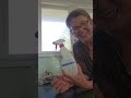 The one ingredient secret to squeaky clean windows