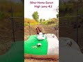Bihar home garud 2025 #bihar #trendingshorts #biharhomeguard #biharpulice #army