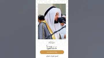 وآتاكم من كل ما سألتموه تلاوة بأسلوب خلاب من سورة إبراهيم القارئ أحمد النفيس 