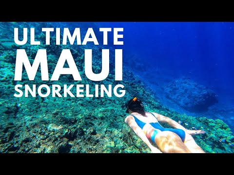 Video: Maui's beste snorkelplekken