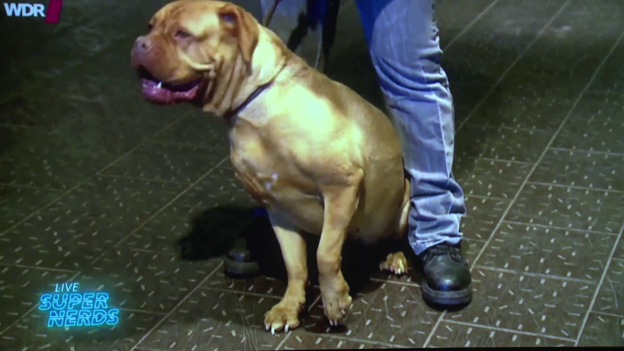 Angela Richter - Fight Back: Digital Dissidents