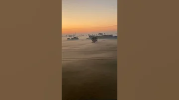أبيض وأسود على كل ظالم إن شاء الله 