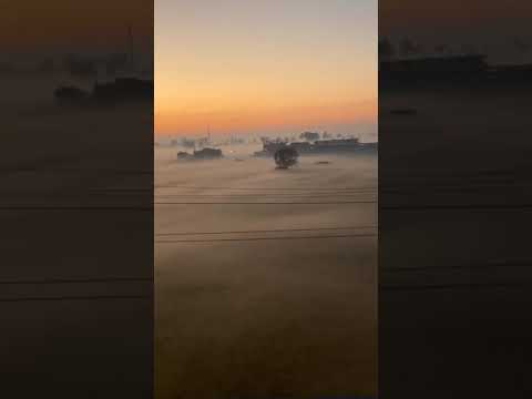 أبيض وأسود على كل ظالم إن شاء الله