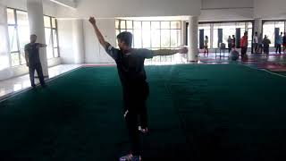 Nanquan basic 6