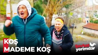 Ay Akşamdan Işıktır Yaylalar Yaylalar - Şevkat Yerimdar