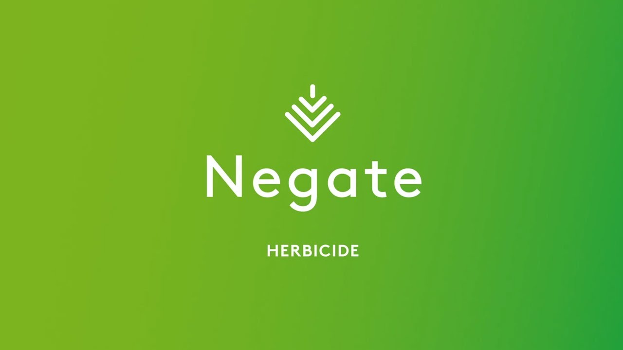 Negate 37WG Herbicide: Low Rate, High Impact Weed Control for Warm Season  Turf!