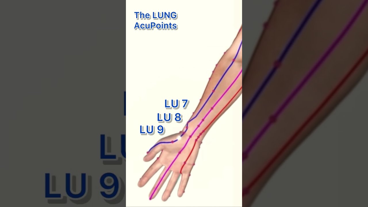 The LUNG Meridian Acupuncture Points Acupuncturepoints