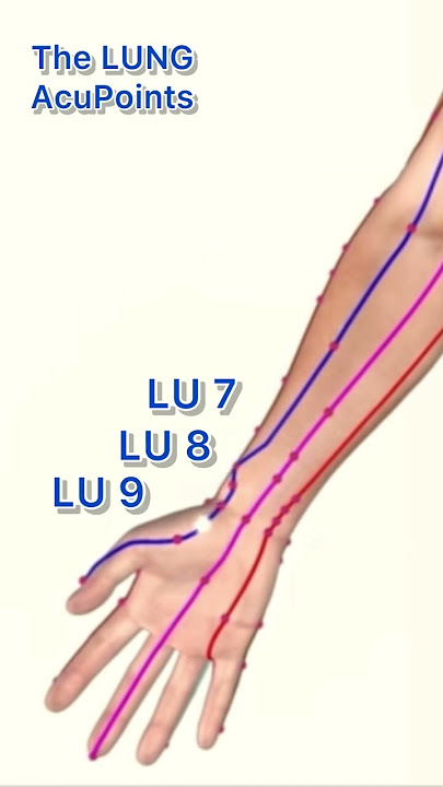 The LUNG meridian acupuncture points #acupuncturepoints