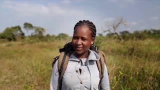 iSimangaliso Wetland Park World Heritage site