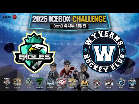 LIVE • 이글스 vs 와이번즈 B • 2025 ICEBOX CHALLENGE 3on3 아이스하키대회 | 유치부 최강전 Div.2 • 2025. 3. 3