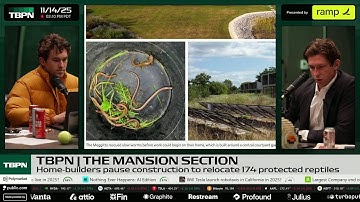 Friday, November 14th