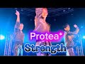 Strength/Protea*(バイプロテア) 【2026.3.28@柏PALOOZA】