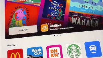 Tesla Launches Official APIs Hinting at App Store Debut